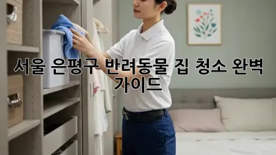 서울 은평구 반려동물 집 청소 완벽 가이드