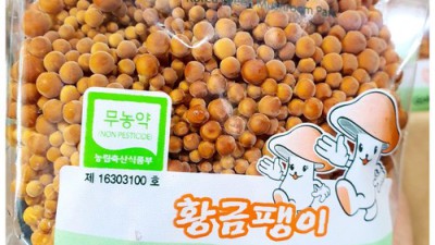 득템찬스! 비트드럼달팽이 솔직후기 & 할인정보🐌🎵